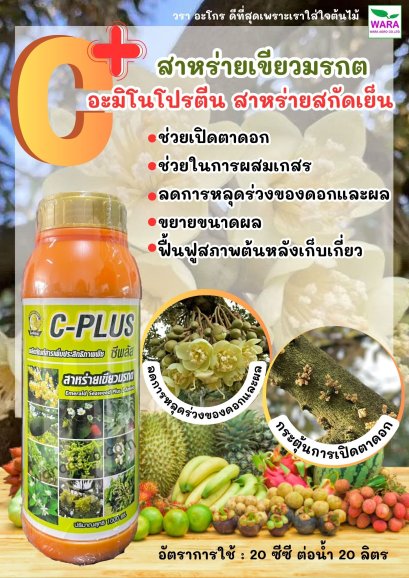 ซีพลัส C-plus
