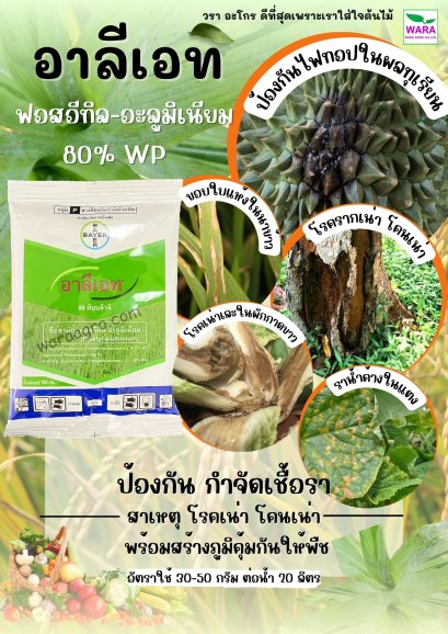 อาลีเอท