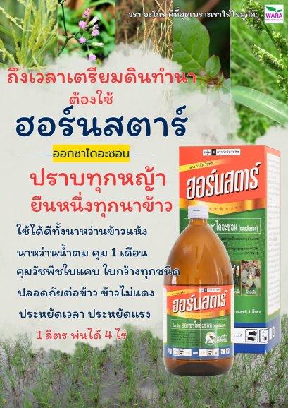 ฮอร์นสตาร์