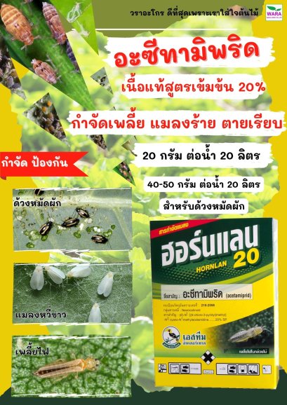 ฮอร์นแลน