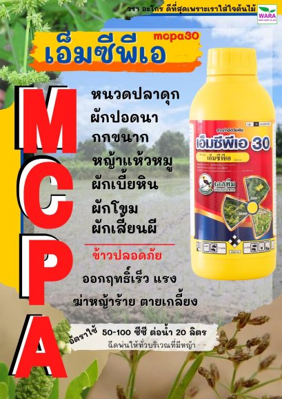 เอ็มซีพีเอ 30