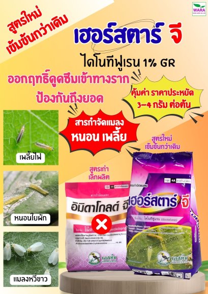 เฮอร์สตาร์ จี