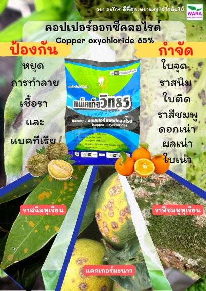 แพคเก็จวิท85