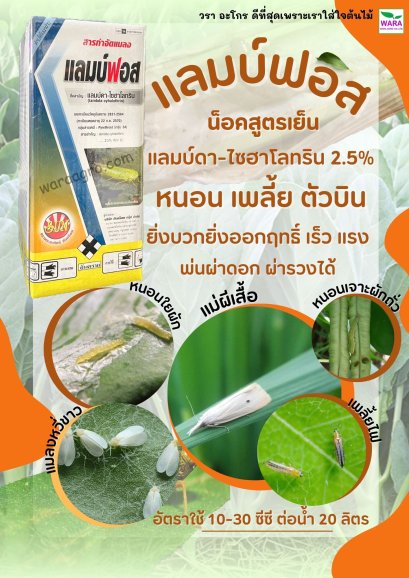 แลมบ์ฟอส