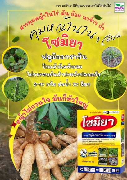 โซมิยา