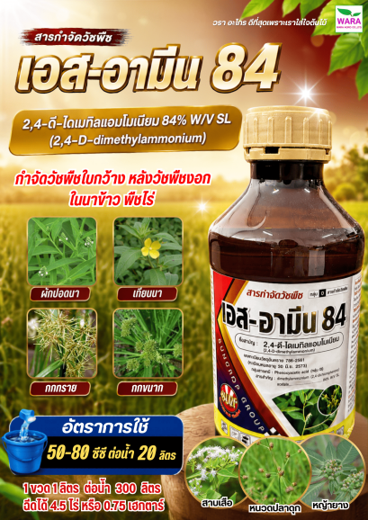 เอสอามีน84 2,4 ไดเมทิลแอมโมเนียม 84% W/V SL dimethylammonium