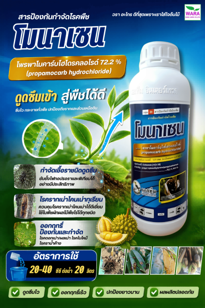 โมนาเซน