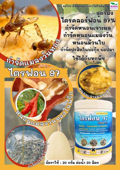 ไตรฟอน