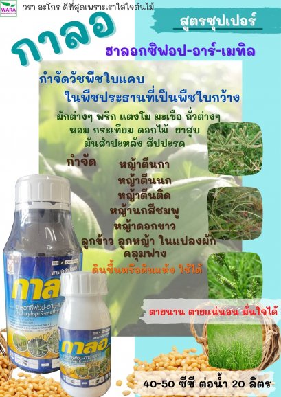 กาลอ