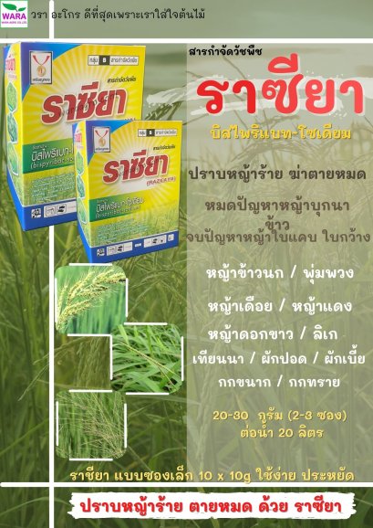 ราซียา
