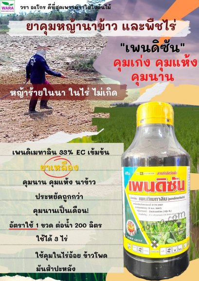 เพนดิซัน