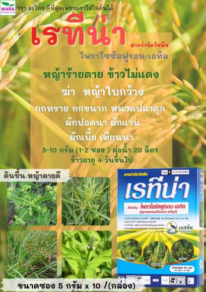 เรทีน่า