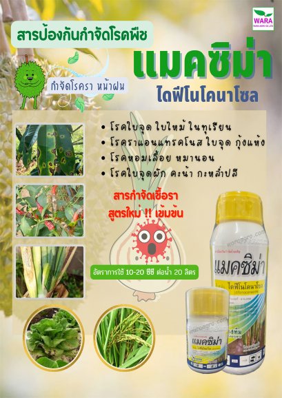 แมคซิม่า