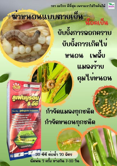 ลูเฟนนูรอน 5อีซี