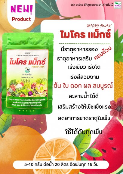 ไมโครแม็กซ์