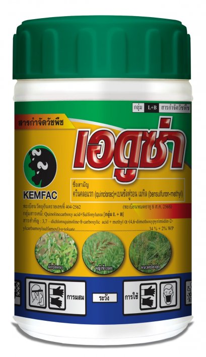 เอดูซ่า