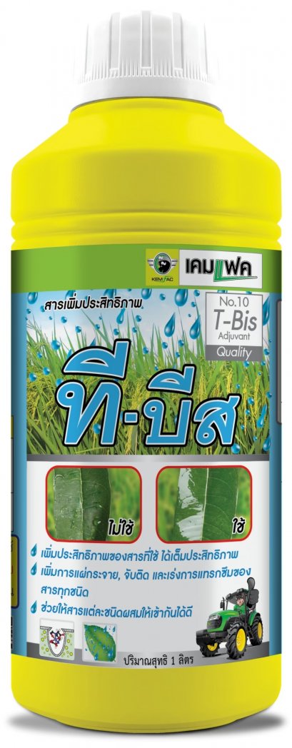 T-Bis ทีบีส