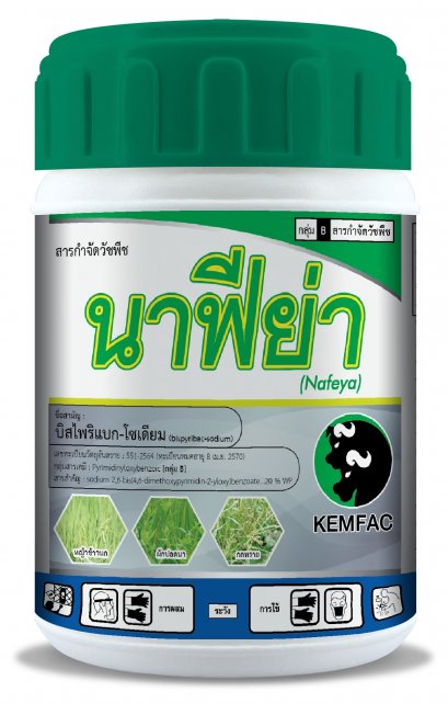 นาฟีย่า