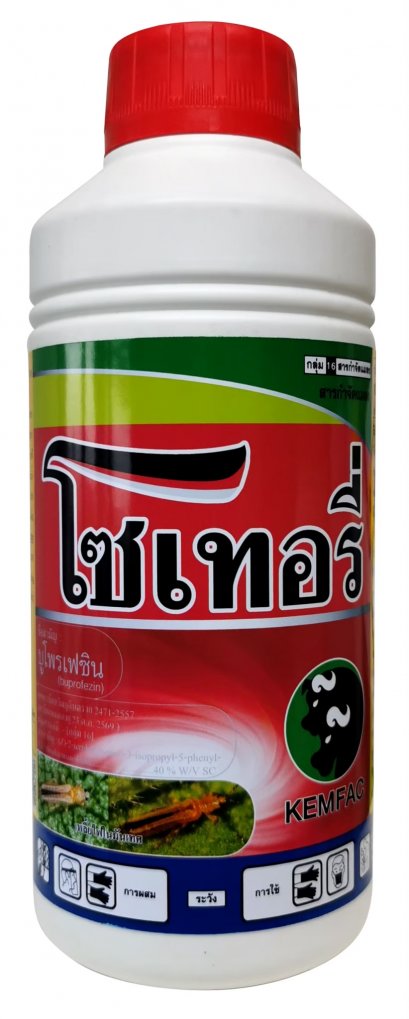 โซเทอรี่