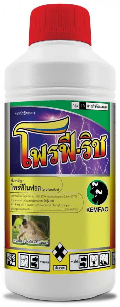 โปรฟีริช