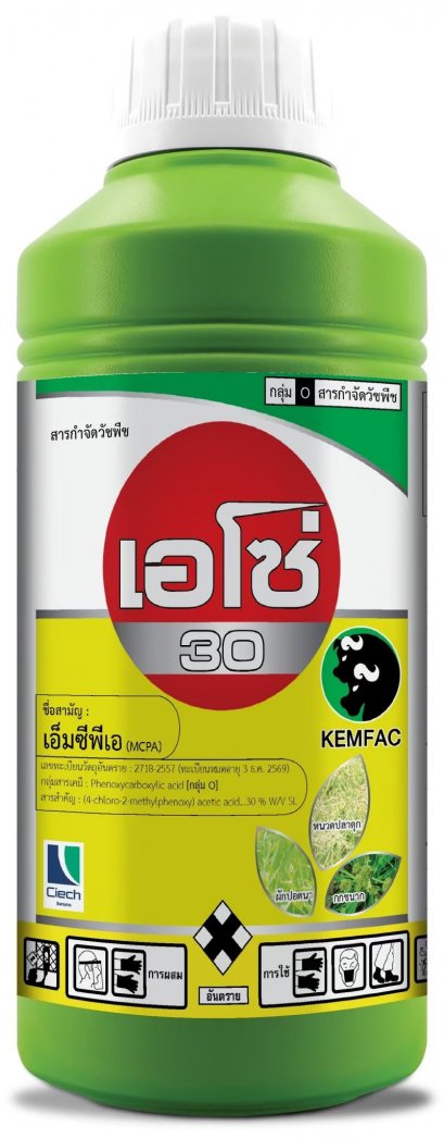 เอโซ่ 30