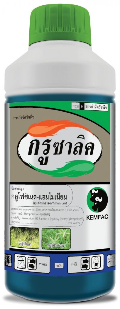 กรูซาลิค
