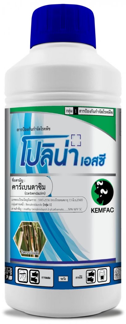 โปลิน่า