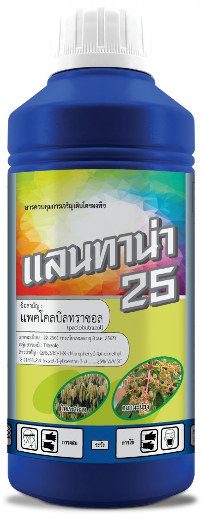 แลนทาน่า 25