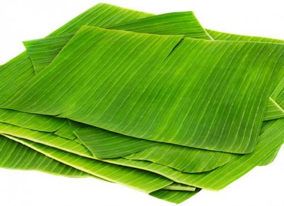 Banana Leaf