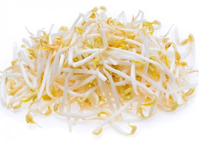 Bean Sprout