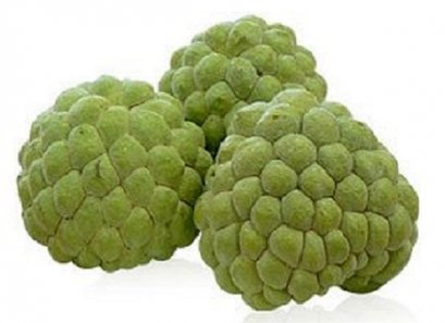 Custard Apple