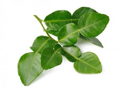 Lime Leaf
