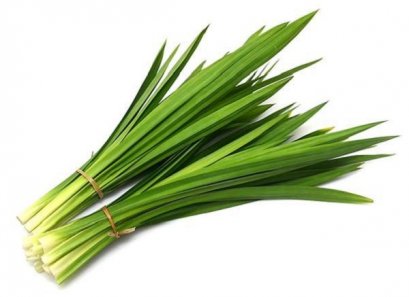 Pandan Leaf