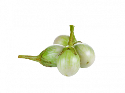 Round green eggplant