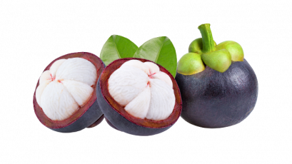 Mangosteen