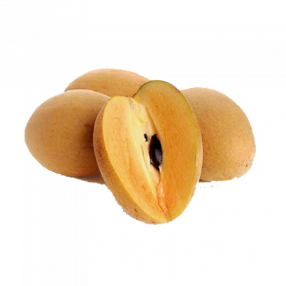 Sapodilla