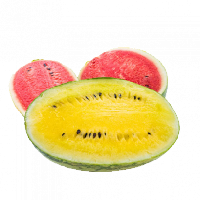 Yellow Watermelon