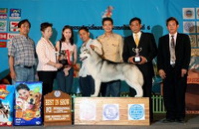 Results Best In Show 2006