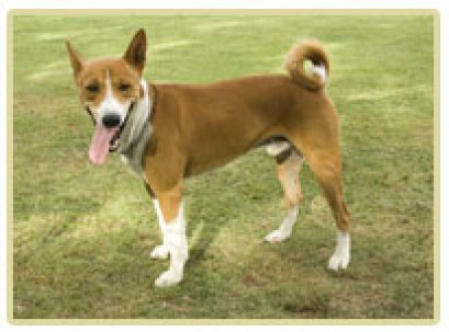 คณข้าวเหนียวมะม่วง