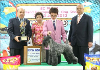Sc Plaza Thailand Championship Dog Show 12-13 June 2010 AB2
