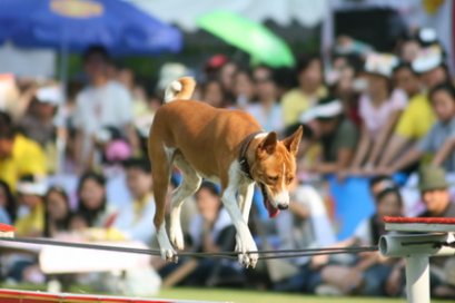 คุณข้าวเกรียบว่าว
