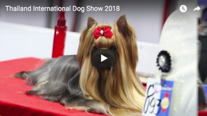  Clips Thailand International Dog Show 2018