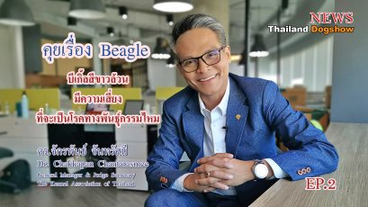 คุยเรื่อง Beagle Ep. 2 บีเกิ้ลสีขาวล้วนมีความเสี่ยงที่จะเป็นโรคทางพันธุ์กรรมไหม