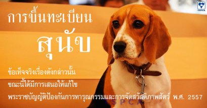 การขึ้นทะเบียนสุนัข