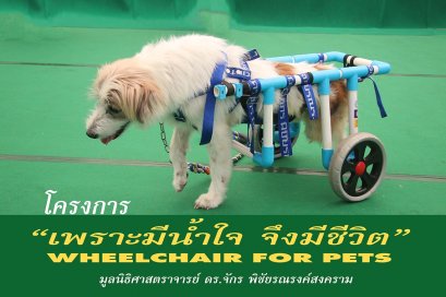 WHEELCHAIR FOR PETS