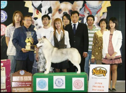 CH.FOXFIRE GRACE N'T RING OF WYVERN