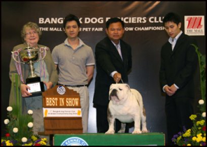 Ch.My Toys Mighty Texas Legend