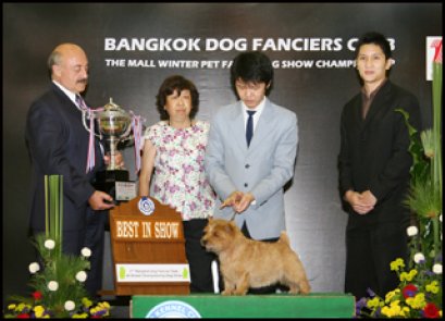 Ch.Devondale's Master Marmot Phil