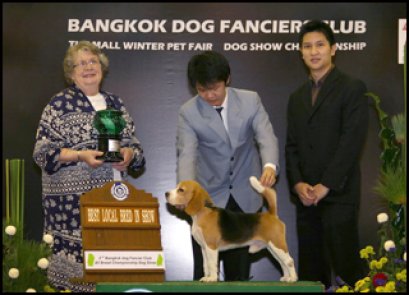 Ch.Perfect Companion's Tender Luvand Care Taro