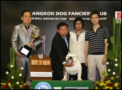 Am.Th.Ch.My Toys Mighty Texas Legend